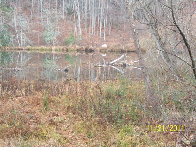 boat, fish, or watch the wildlife!