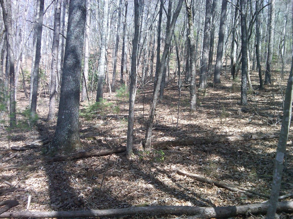 additonal acreage 4 acres with city water and sewer. this land is perfect for cabins or any type of future rentals. there is good timber on the property and can be sold.